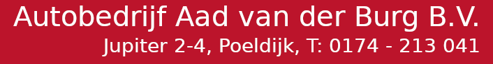 Aad van der Burg